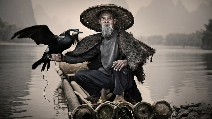 man in grey shirt and black pants sitting with black bird, Cormorant