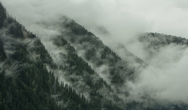 photography of mountain shrouded by clouds, morning, fog, misty