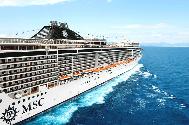 black and white MSC cruise ship, Sea, Liner, Board, Case, Day, HD wallpaper