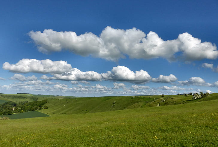 field of green grass under cloudy sky during daytime, Summer, HD wallpaper