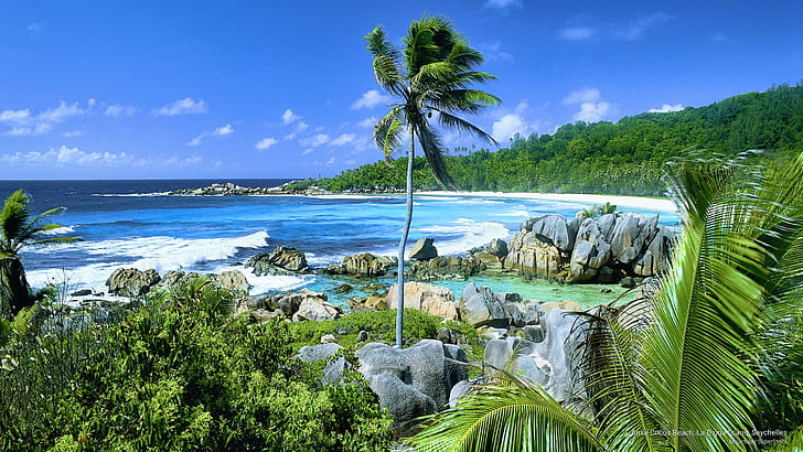 Anse Cocos Beach, La Digue Island, Seychelles, Islands, HD wallpaper
