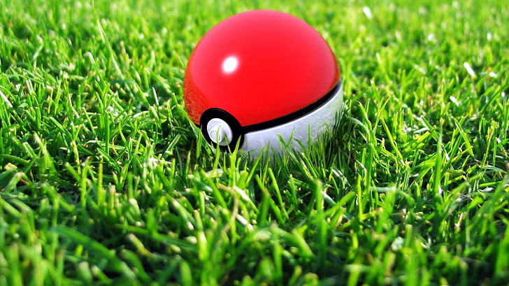 red and black plastic toy, balls, grass, plant, green color, sport