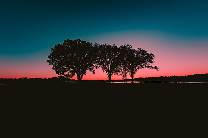 silhouette of trees, nature, water, sunset, landscape, sky, outdoors