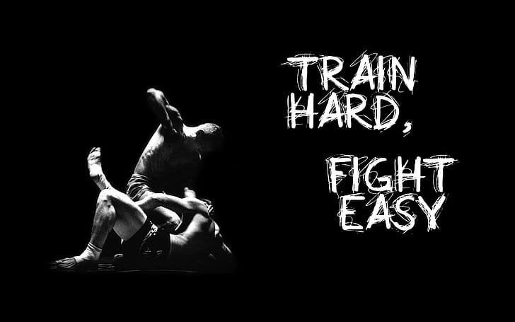 Black Train Fight MMA HD, sports, HD wallpaper