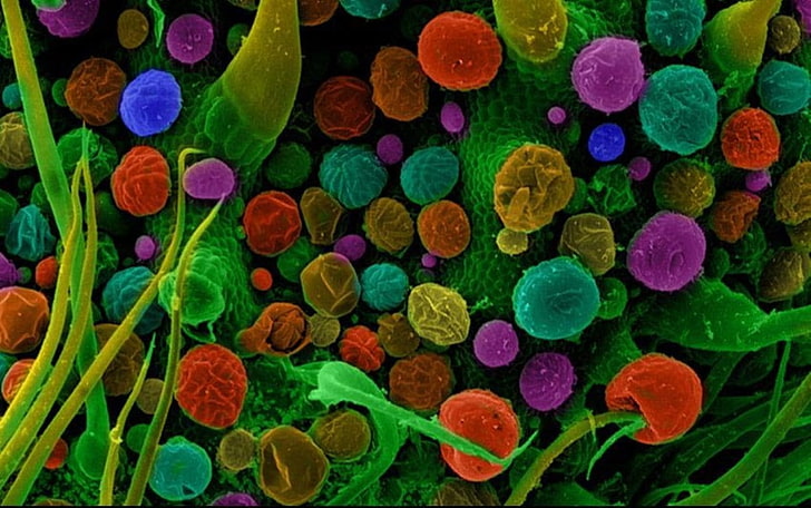 microscopic, macro, colorful, miniatures, cannabis, science, HD wallpaper