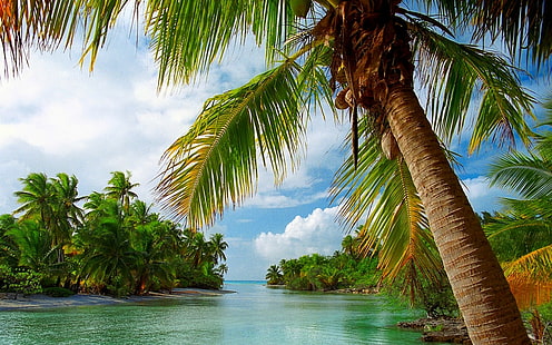 HD wallpaper: French Polynesia, Ocean, bungalow hotel, exotic, Moorea ...