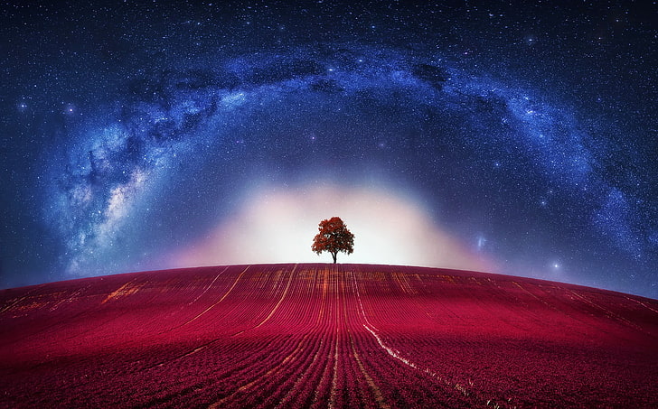 illustration of tree on red hill, universe, trees, digital art