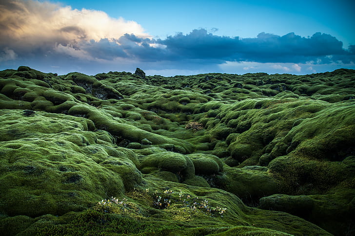 photo of green grass covered mountain during daytime, mundo, mundo, HD wallpaper