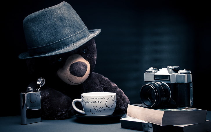 brown bear plush toy, camera, alcohol, coffee, hat, teddy bears