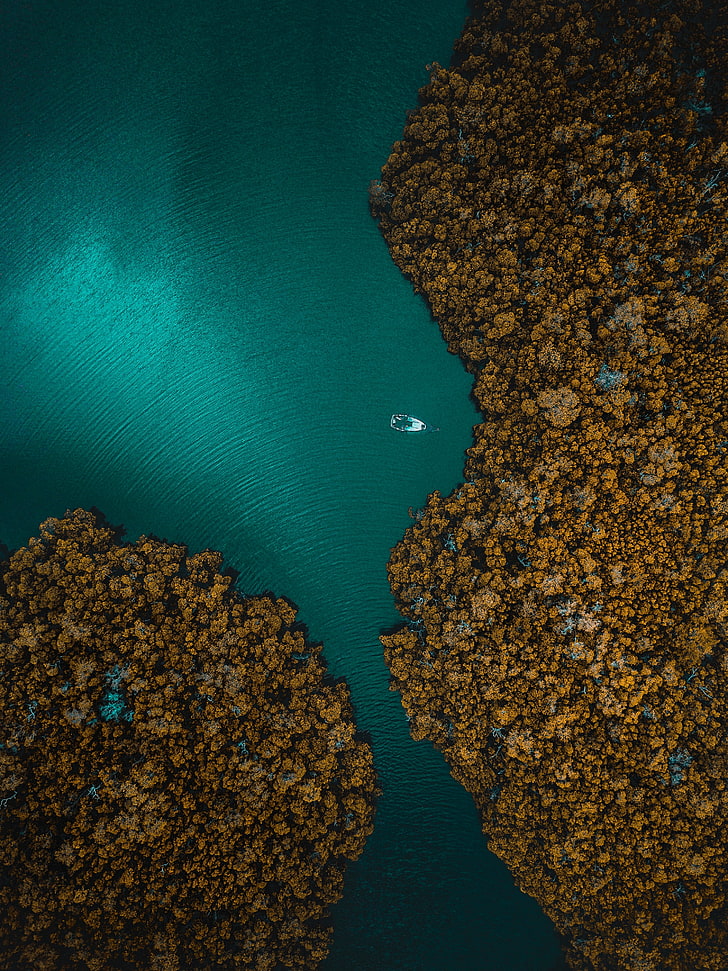 brown island, ocean, top view, nature, backgrounds, sea, blue, HD wallpaper