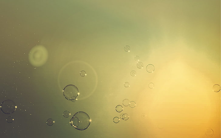 bubbles, abstract, geometric shape, circle, water, transparent, HD wallpaper