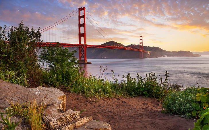 Golden Gate Bridge Bridge San Francisco Sunset Plant Ocean HD, HD wallpaper