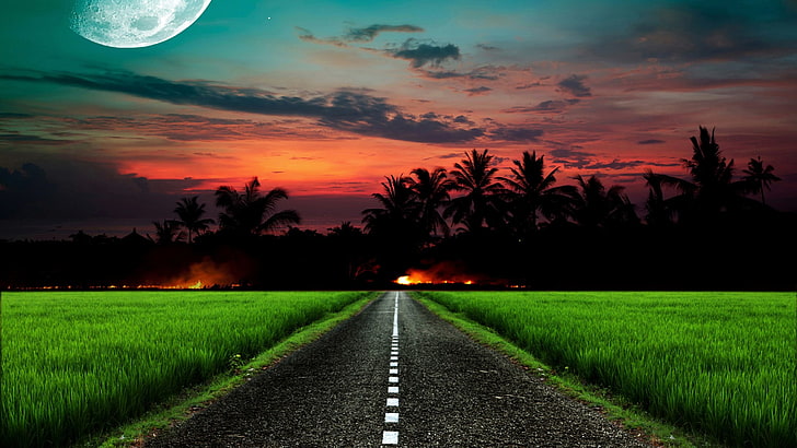 sky, tropical, field, afterglow, moonlight, road, silhouette