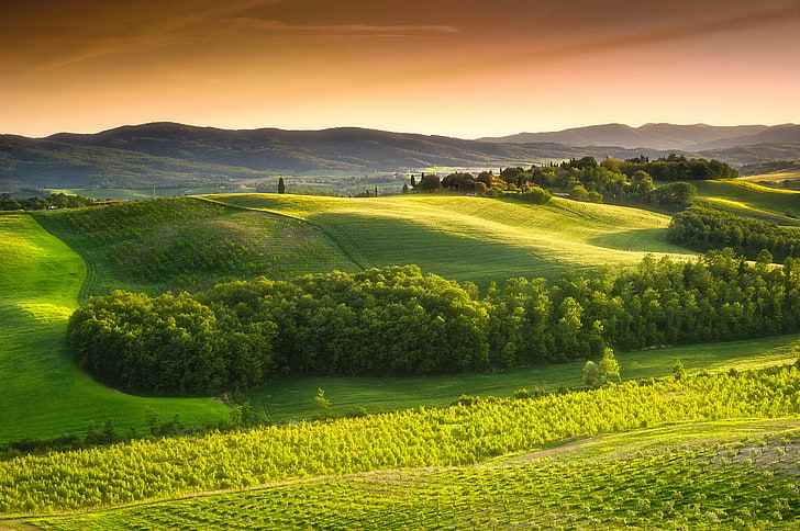 green trees, the sky, nature, Italy, Landscape, the countryside, HD wallpaper