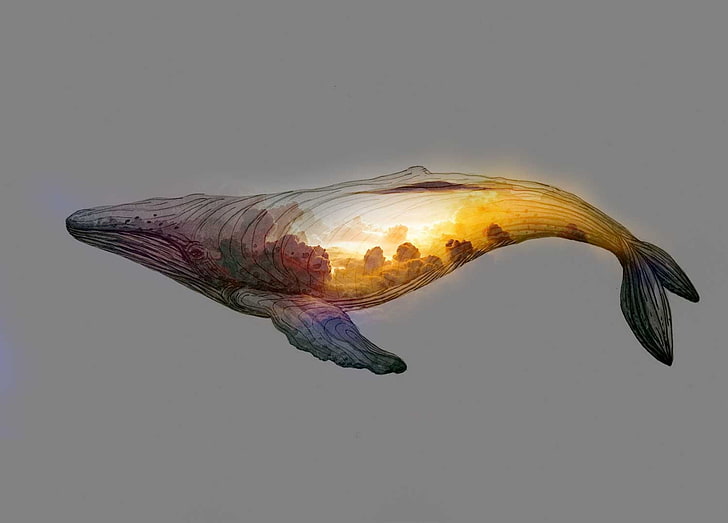 whale illustration, artwork, simple background, clouds, minimalism