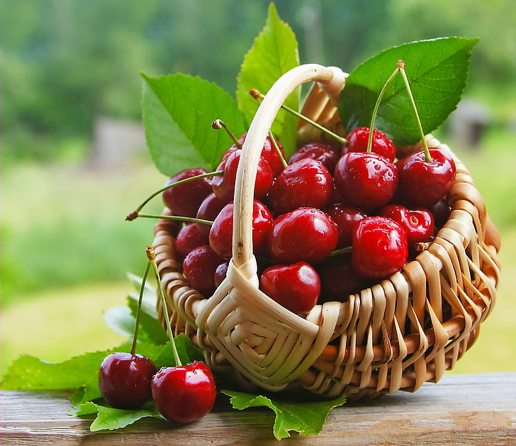 bundle of cherries and brown wicker basket, cherry, berries, fresh, HD wallpaper