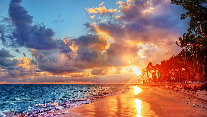 beach, sea, sea shore, palms, sunset, sunray, sand, nature, HD wallpaper
