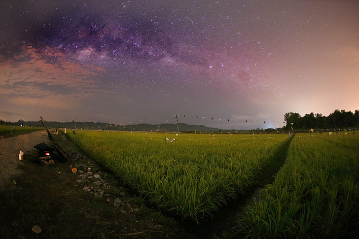 green grass fields at nighttime, Padi, Junction, Milkyway, Landscape, HD wallpaper