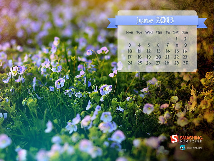 Small world-June 2013 calendar desktop wallpapers, flower, flowering plant