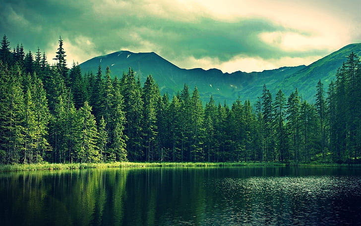 mountains, summer, lake, trees, forest, HD wallpaper