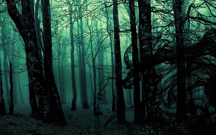 black bare trees, forest, landscape, dark, nature, photo manipulation, HD wallpaper
