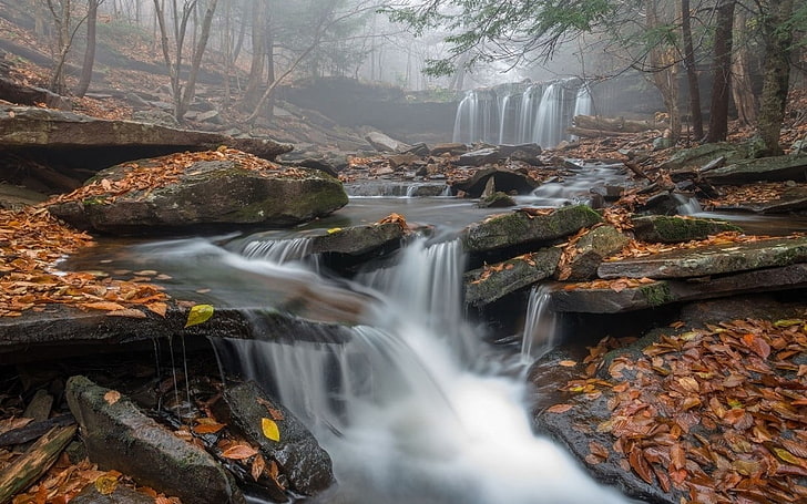 creek time-lapsed photography, morning, mist, waterfall, leaves
