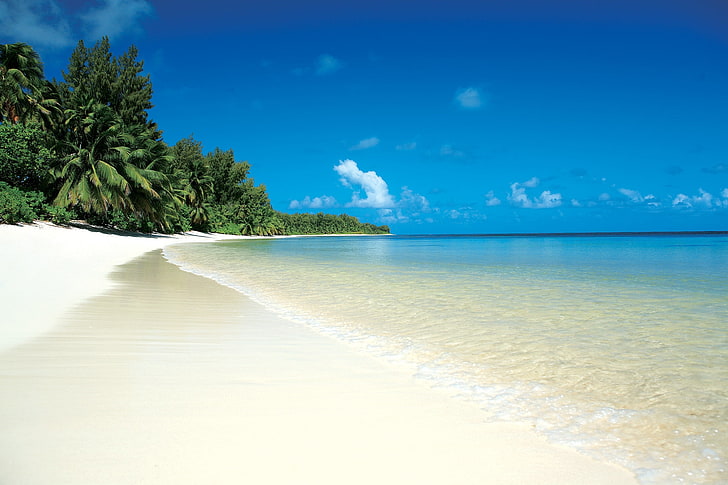 white sand beach shoreline, tropics, palm trees, relax, sea, island, HD wallpaper