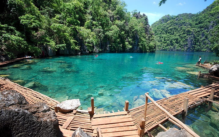 Kayangan Lake Coron Island, green leaf forest, nature and landscape, HD wallpaper