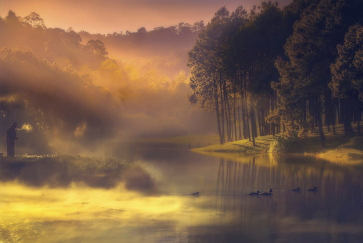 landscape, river, mist, forest, people, duck, sunrise, HD wallpaper