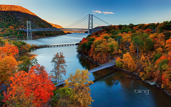 Bear Mountain Bridge Hudson River Valley-2016 Bing.., brown and green leafed trees