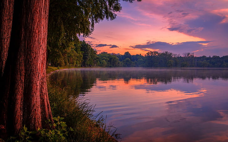 Purple dusk, forest, lake, HD wallpaper