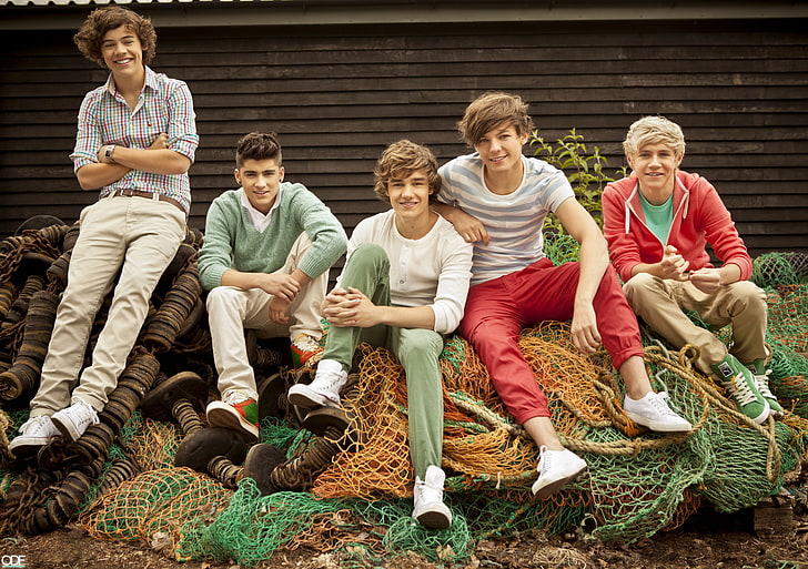 1 Direction band, group, Harry Styles, One direction, Liam Payne, HD wallpaper