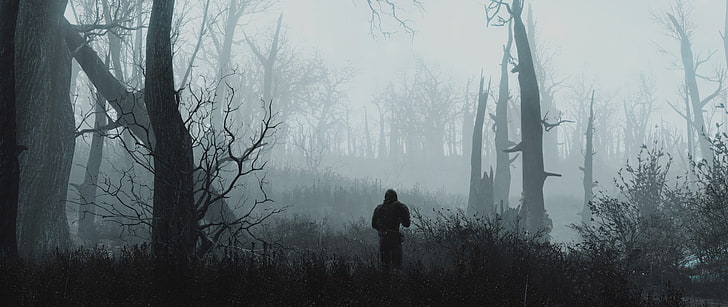 withered trees, dual monitors, video games, Fallout 4, plant, HD wallpaper