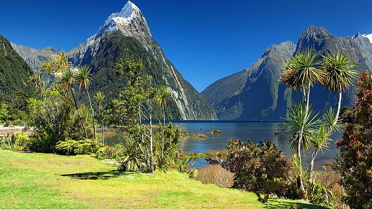 Miter Peak And Milford Sound Fiordland National Park New Zealand Full Hd Wallpapers 3840×2160, HD wallpaper