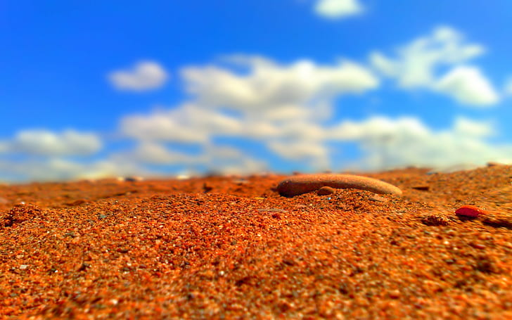 sand, red, depth of field, HD wallpaper