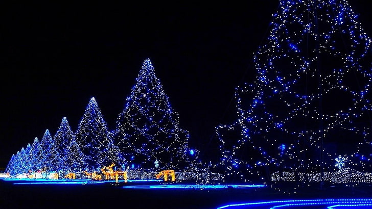 xmas, lights, christmas, christmas lights, celebration