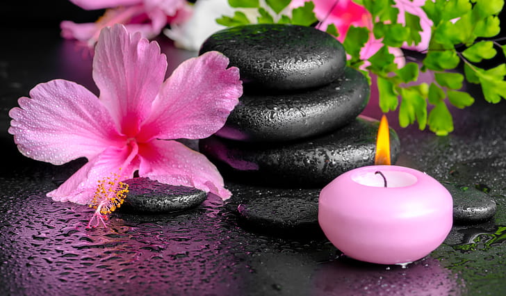 flowers, Spa, background, candles, spa stones, HD wallpaper