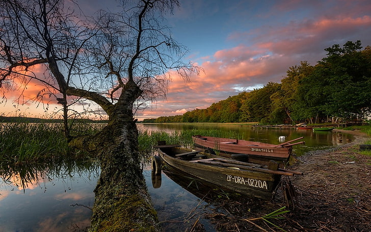 nature, landscape, trees, boat, calm, forest, lake, dock, sunset, HD wallpaper