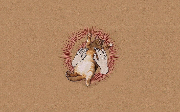 Album Covers, cat, Godspeed You! Black Emperor, music, Parody, HD wallpaper