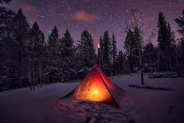 red tent, winter, snow, sky, trees, night, forest, camping, nature