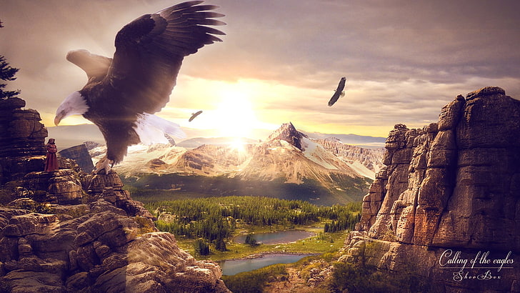HD wallpaper: brown eagle wallpaper, animals, digital art, sky, mountains,  cloud - sky | Wallpaper Flare
