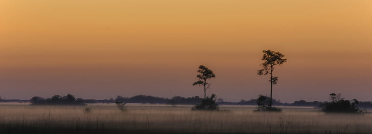 three under cloudy sky at daytime, Everglades, Sunrise, nature