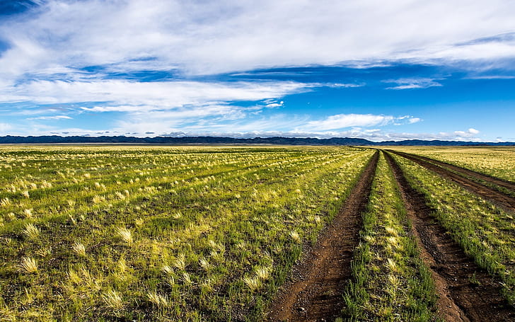 Mongolia, beautiful nature scenery, field, blue sky, clouds, HD wallpaper