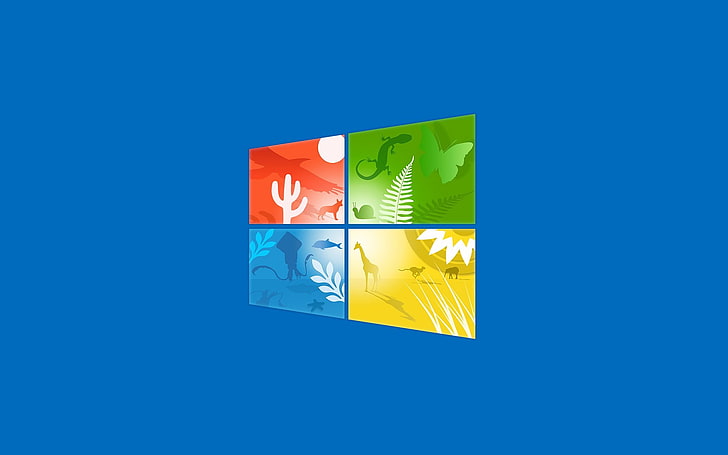windows 10, blue, studio shot, colored background, blue background HD wallpaper
