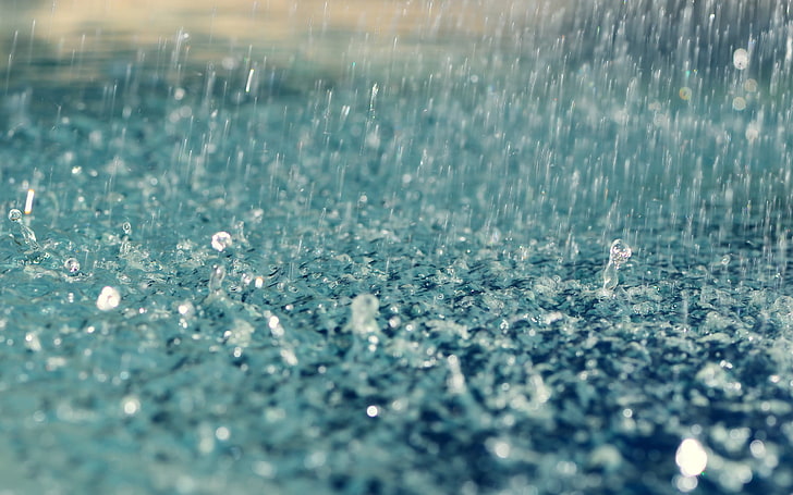 raindrops, water drops, liquid, macro, nature, backgrounds, defocused, HD wallpaper