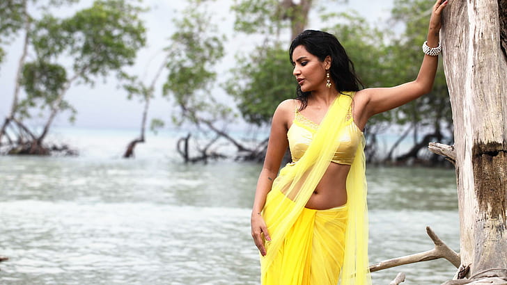 Priya Anand Wearing Yellow Saree, 2880x1620, HD wallpaper