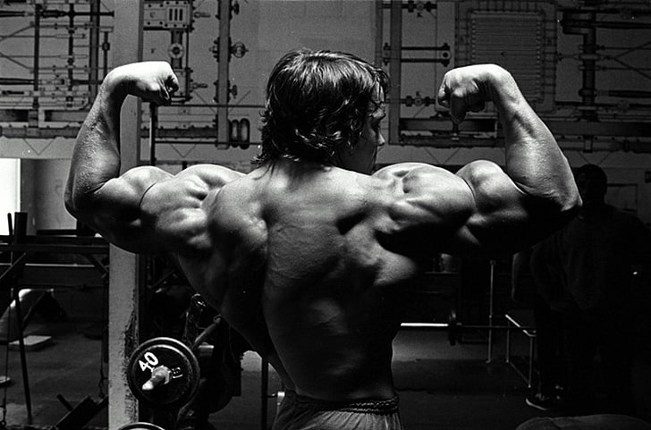 bodybuilding computer  backgrounds, muscular build, healthy lifestyle