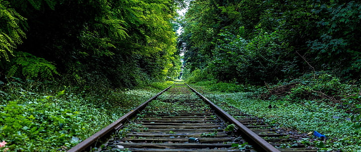 gray metal trail rail, railway, forest, railroad track, rail transportation, HD wallpaper