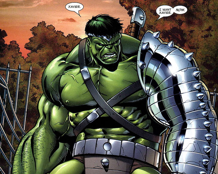 HD wallpaper: Hulk The Hulk Marvel HD, incredible hulk illustration, cartoon/comic  | Wallpaper Flare