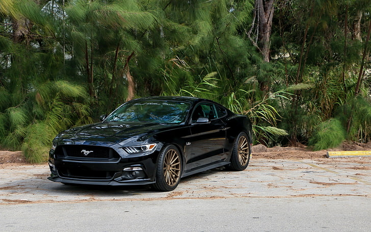 black Ford Mustang coupe, car, motor vehicle, transportation